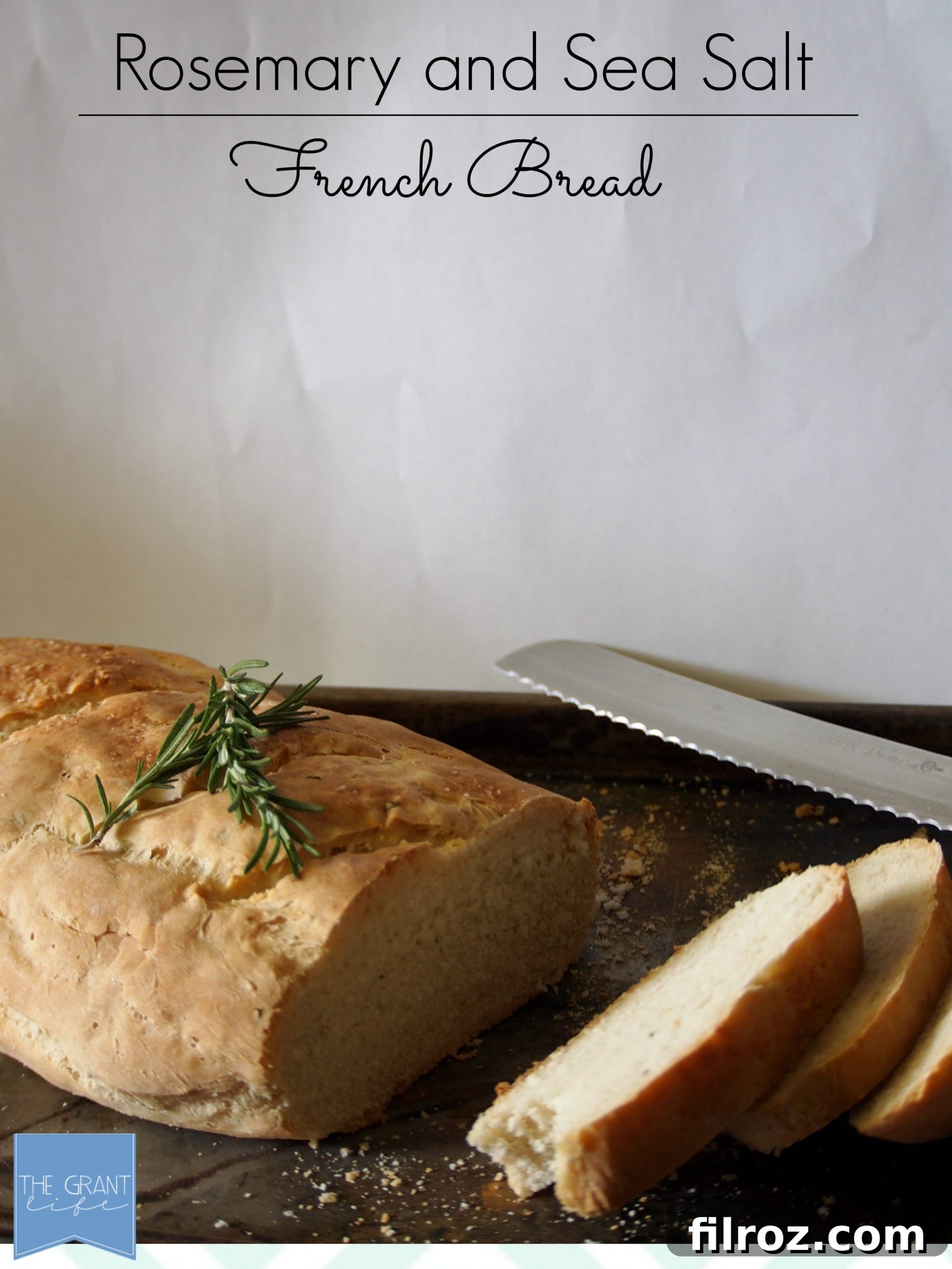 featured 7928 scaled