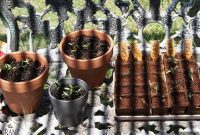 April’s Awakening in Our Garden