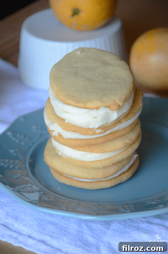 Lemon buttercream cookie footer image