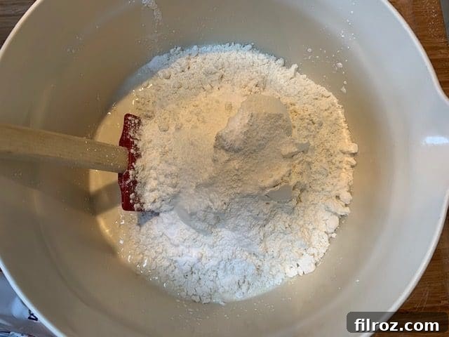 Dry ingredients for naan bread mixed in a bowl.