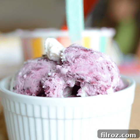 Blackberry Ice Cream - Easy No-Churn Recipe