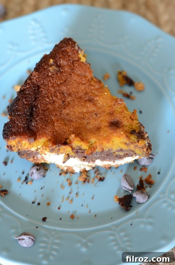 Chocolate cheesecake pumpkin pie for Thanksgiving