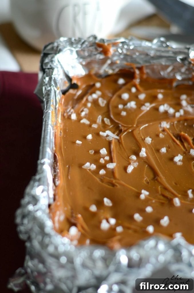 Hands gently mixing brownie batter in a bowl, showing the rich chocolate texture before baking.