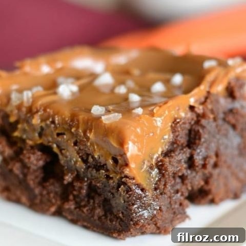 Salted caramel brownies topped with sauce and sea salt, ready to serve.