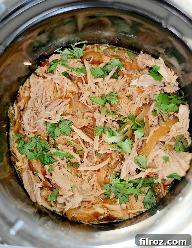 How to make carnitas in the crock pot - ingredients layered