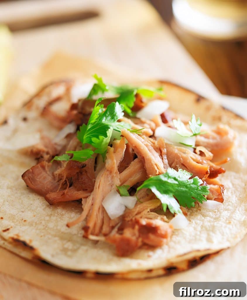 Pork carnitas taco with cilantro and onion