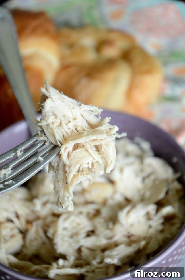 Cooked chicken breasts in the slow cooker, ready for shredding with two forks.