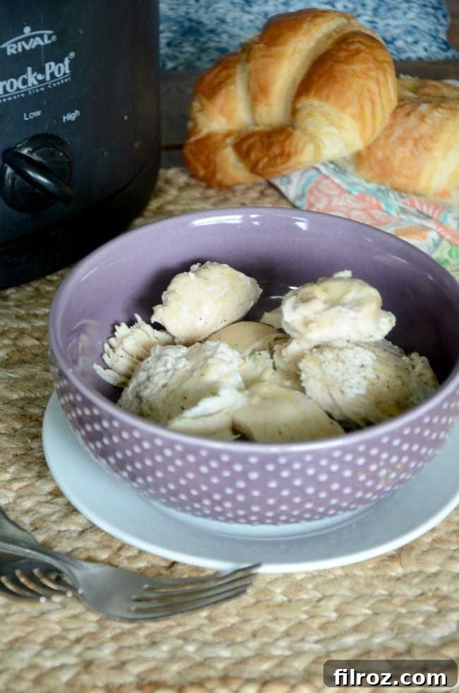 A finished bowl of slow cooker shredded chicken, ready to be served.