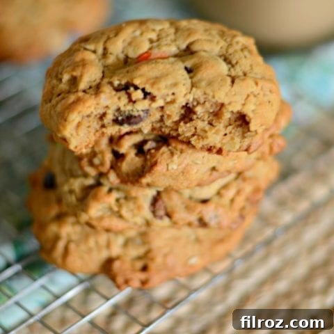 Monster lactation cookies with peanut butter, chocolate chips, and M&Ms