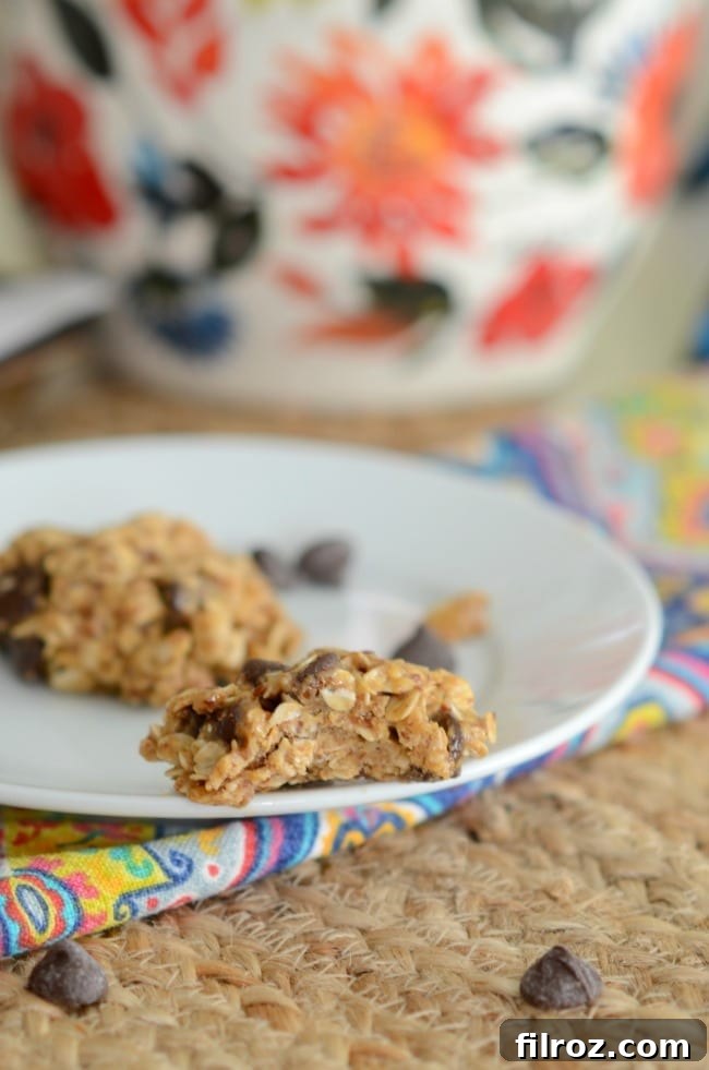 Quick and easy no-bake lactation cookies recipe