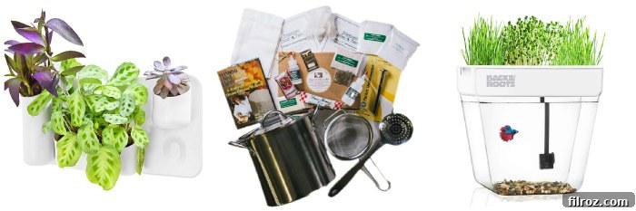 Gift ideas for foodies over one hundred dollars