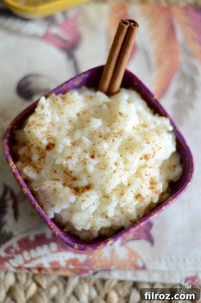 Wholesome Homemade Horchata 9 A bowl of creamy Arroz con Leche, garnished with cinnamon.