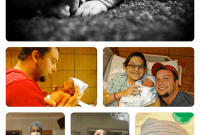 A Work of Heart Tygre’s Journey