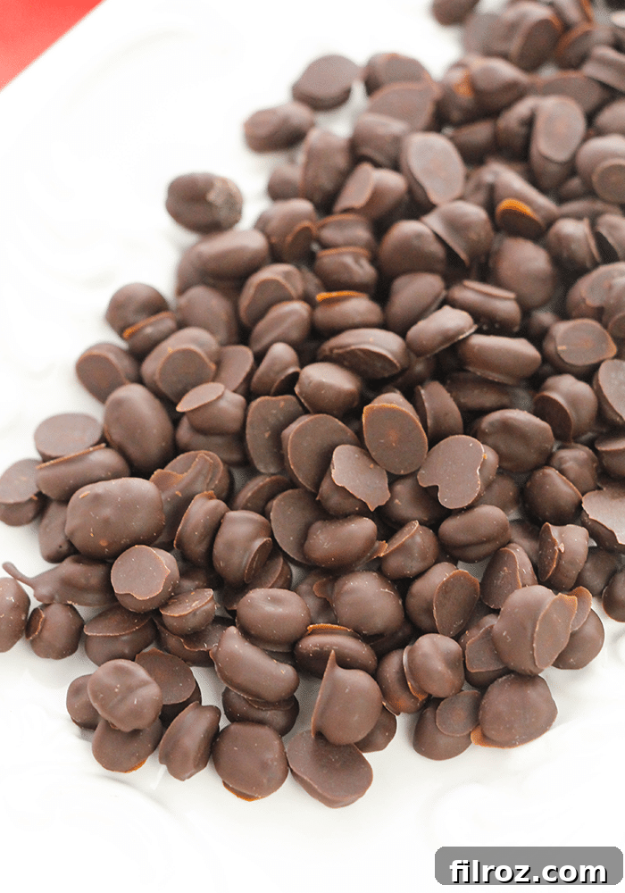 Homemade Easy Chocolate Covered Espresso Beans