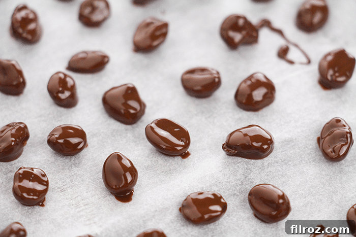 Finished Easy Chocolate Covered Espresso Beans