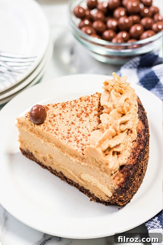 how to make instant pot tiramisu cheesecake