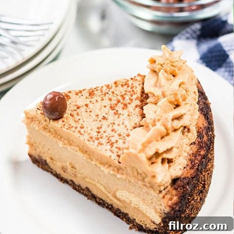 how to make instant pot tiramisu cheesecake