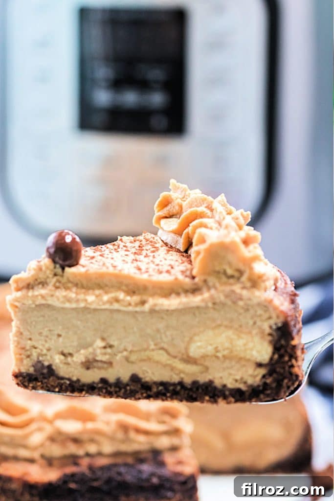 Instant pot tiramisu cheesecake recipe