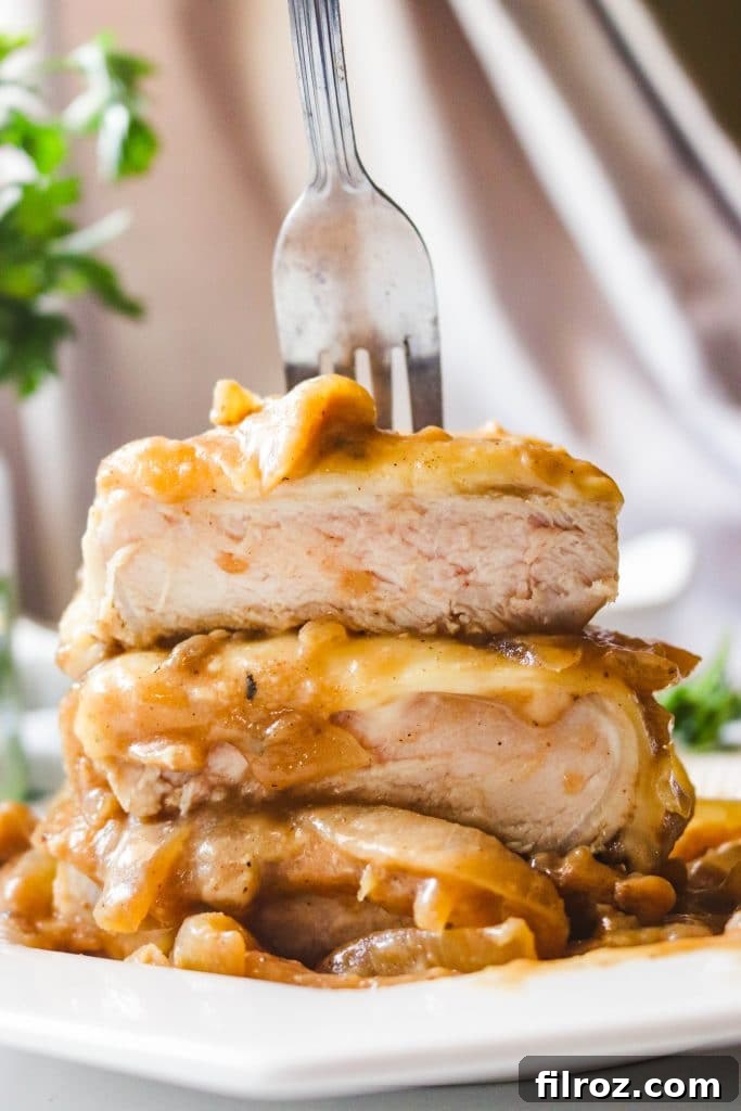 French Onion Smothered Pork Chops 2 baked french onion pork chop recipe