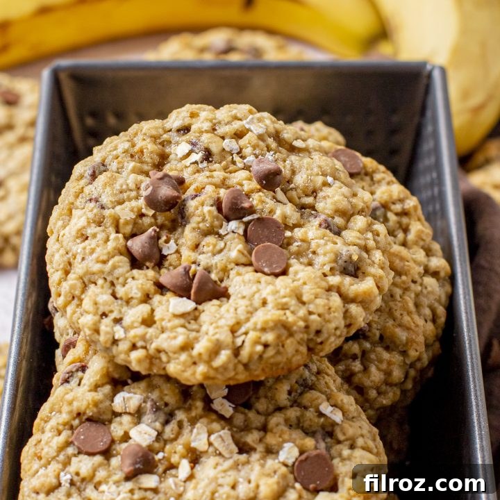 Banana Oatmeal Chocolate Chip Cookies