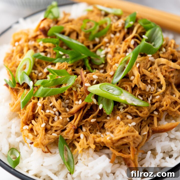close up of honey garlic slow cooker chicken