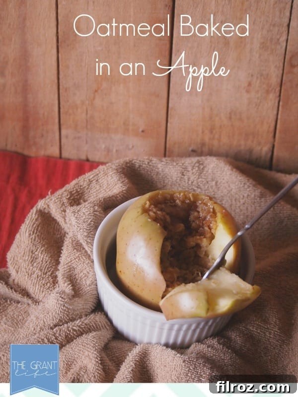 Assortment of fall breakfast dishes, including baked apple oatmeal, pumpkin french toast, and apple cranberry oatmeal.