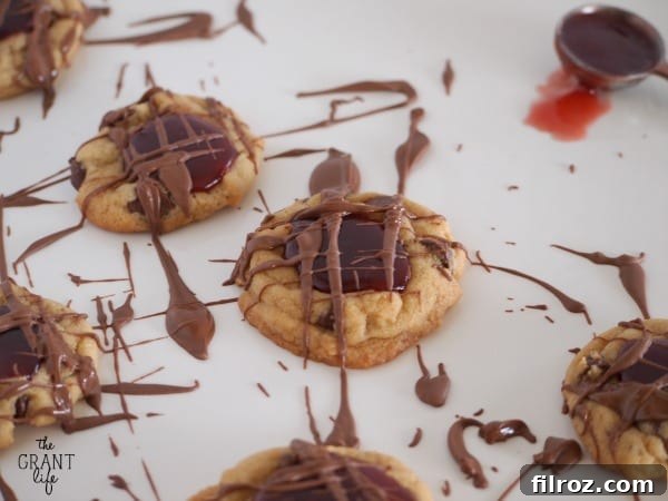 Strawberry Chocolate Chip Thumbprint Cookies with chocolate drizzle