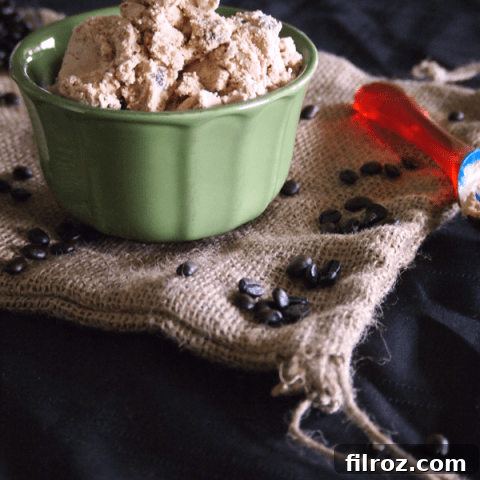 Java Chocolate Chip Ice Cream in a bowl with a spoon