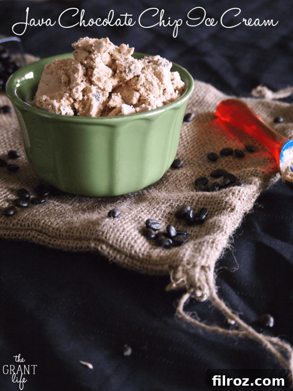 Scoops of Java Chocolate Chip Ice Cream in a waffle cone