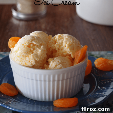 Apricot and Cream Ice Cream