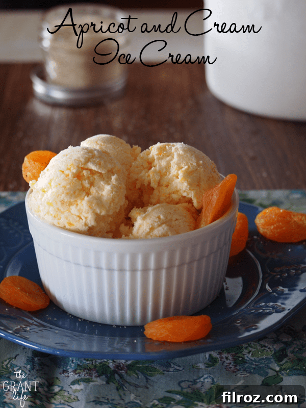 Apricot and Cream Ice Cream Pinterest