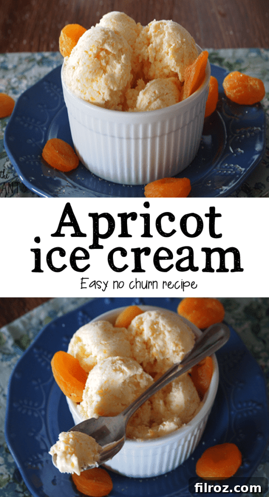 Selection of frozen desserts including apricot ice cream