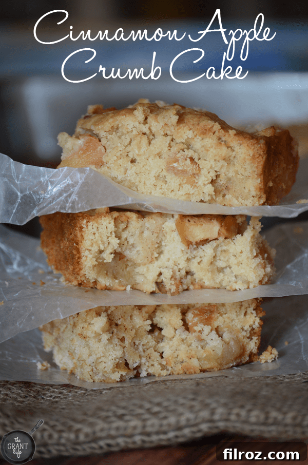 A delectable slice of Cinnamon Apple Crumb Cake with a generous crumb topping